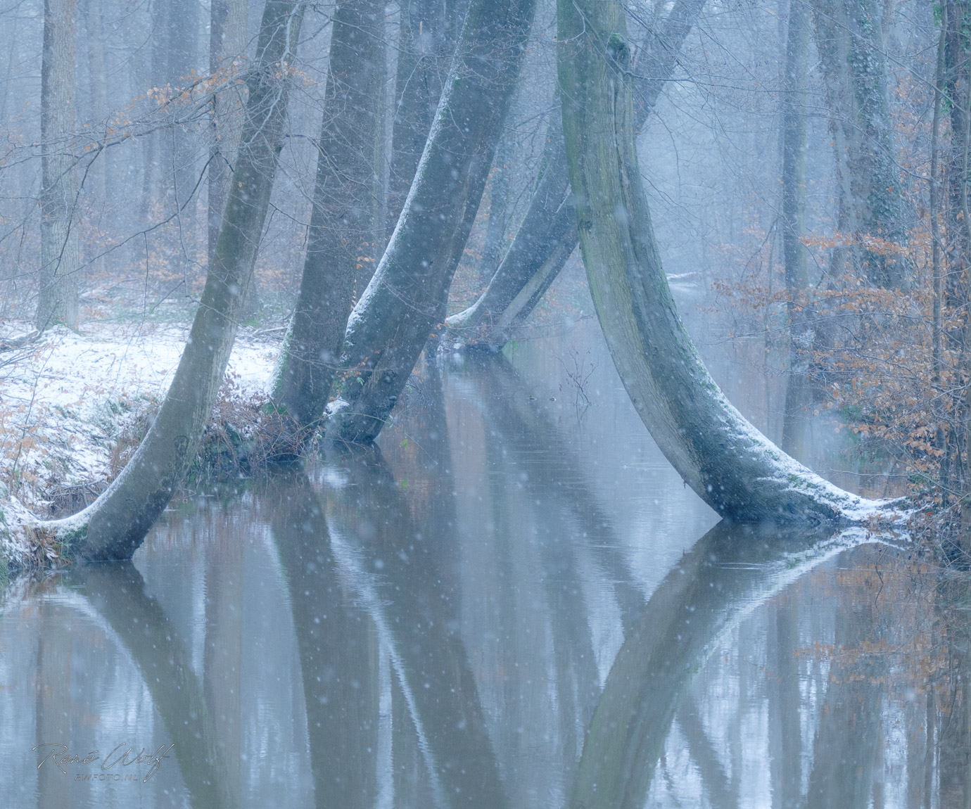 RW26-0103-XT4S8351-IG